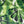 Load image into Gallery viewer, Medium Wrap - Approx 26cm sq
